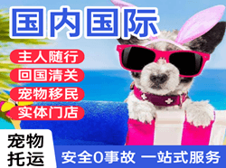 九江庐山机场快运国际宠物托运 【国